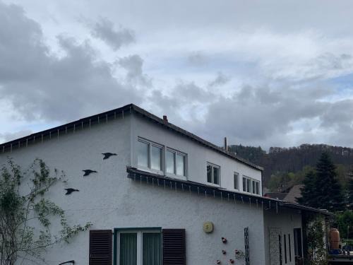 Hasenfeld Apartment | Rosenstufen