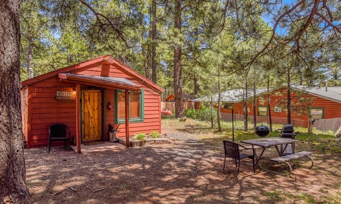 Parks Cabin | Rustic Adventure w/Historic Log Cabin /Forest Views /20 minutes from