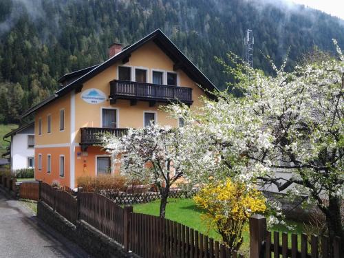 Mallnitz Apartment | Säuleck Appartement mit Mobilitätspass