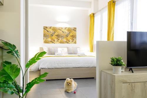 Historic Center Apartment | San Felice Residence
