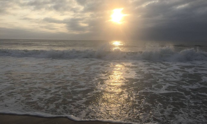 Fenwick Island Condo | SANITIZED Oceanview 3BR condo in quiet, relaxing area away from the crowds