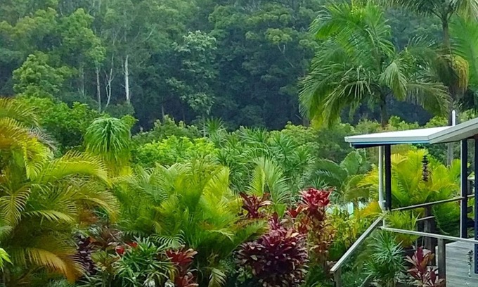 Way Way House | Scotts Head Retreat - Secluded Property