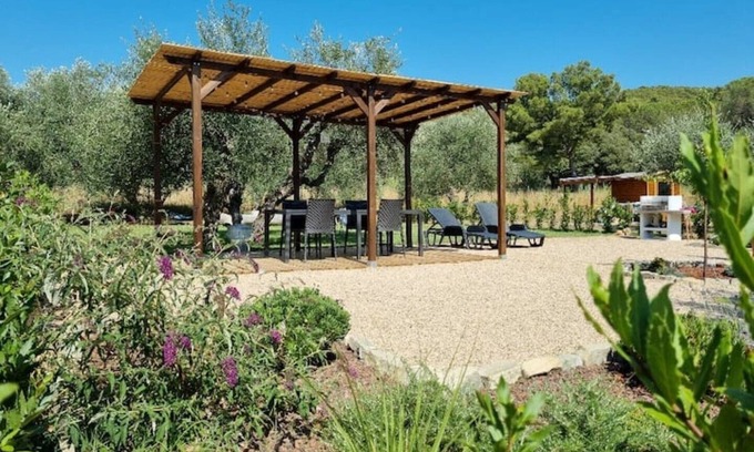 Quercianella Apartment | Sea ​& Olive trees