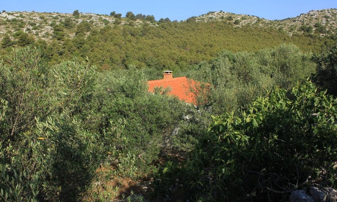 Island Dugi Otok House | Secluded fisherman's cottage Cove Magrovica - Telascica, Dugi otok - 8122