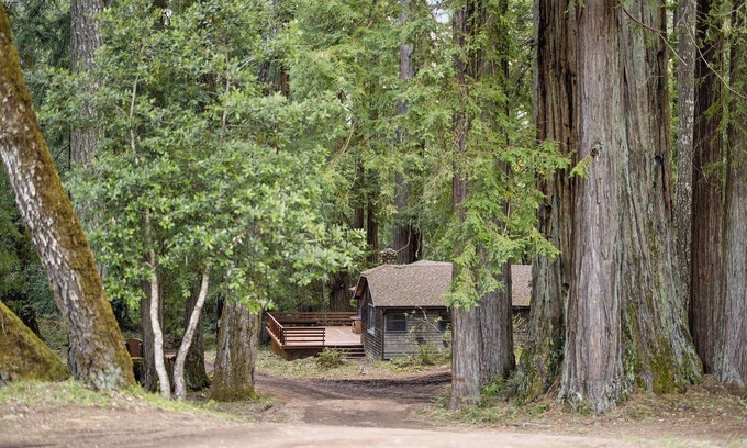Redwood Valley House | Sequoia House - 3-bedroom house at Leonard Lake Reserve
