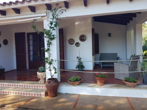 Cala en Blanes House | SES SIVINES