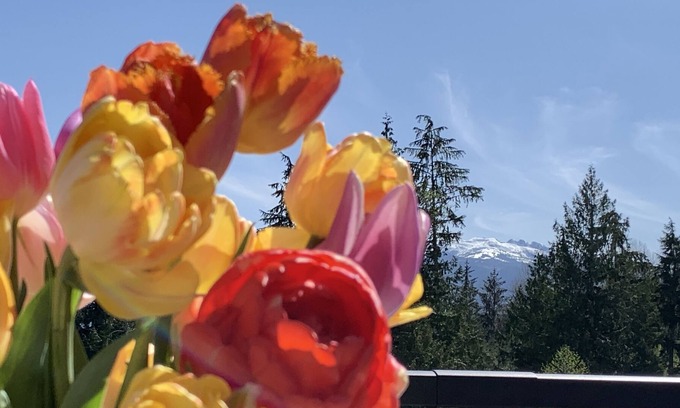 Regional District of Nanaimo House | Simplicity. Nature. Peace. Explore-Welcome to Nourish Farm Stay