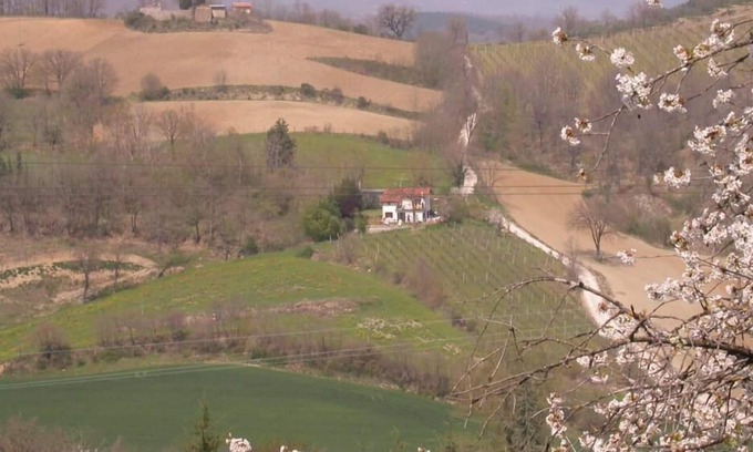 Monterchi House | Small Family villa with vineyard. La Stazione