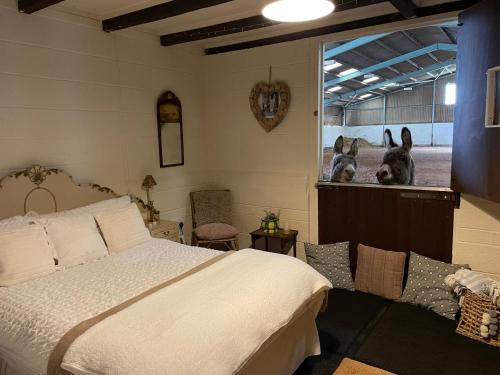 Kneesall Other | Southfields Farm