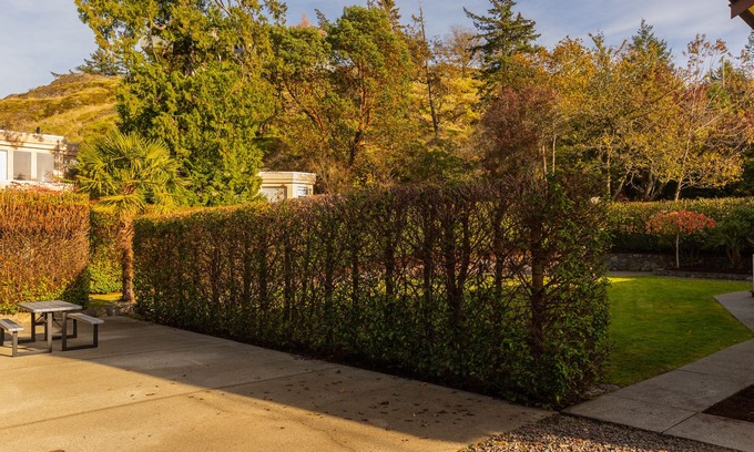 Saanich East House | Spacious Home-Like Suite (Upper)