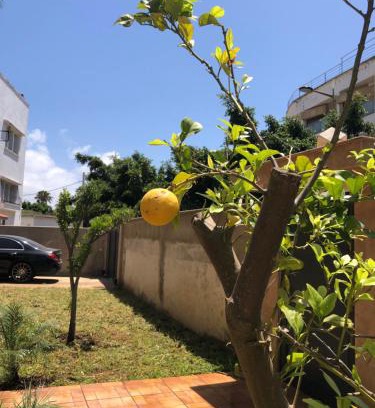Diour Jamaa House | Spacious Villa