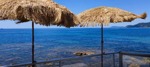 Toulon - Hyeres Bed & Breakfast | Stella Maris