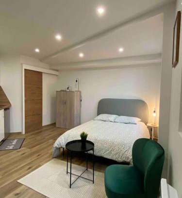 Ile Verte Apartment | Studio Île-Verte entièrement rénové - Proche tram