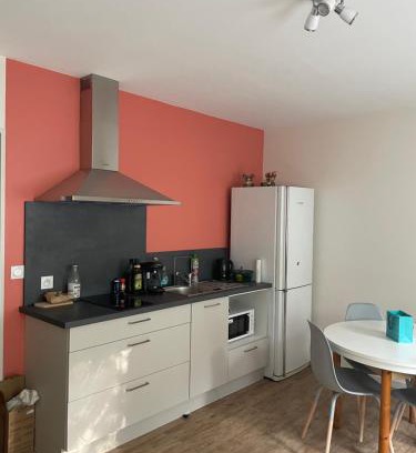 Le Puy-en-Velay Apartment | Studio en plein centre-ville