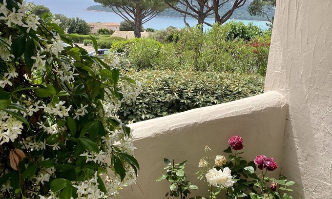Santa Giulia Apartment | Studio sea view- with terrace- Pool access-Hotel Alivi- Marina di santa giulia