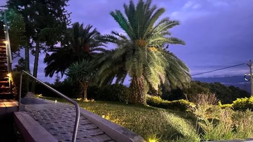 Urzelina Apartment | Style Suites