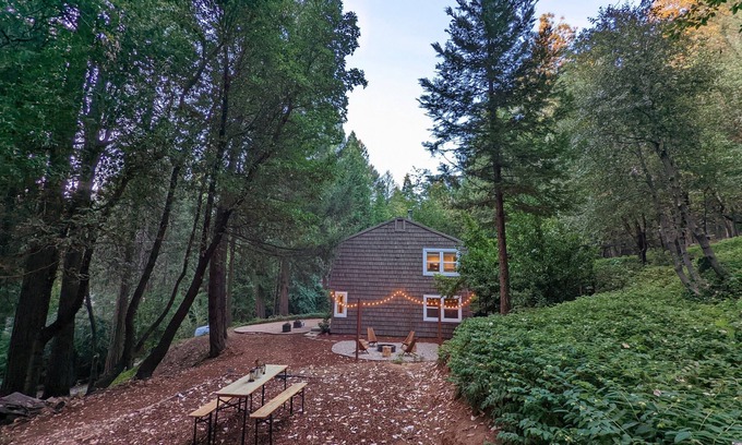 Nevada City Cottage | Stylish Family Friendly Cottage in the Woods