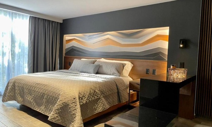 Colonia Cuauhtemoc Apartment | Suites MINE