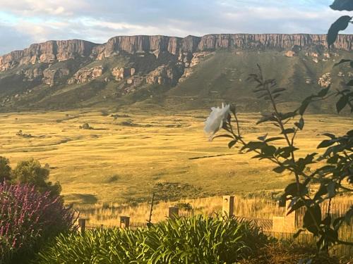 Harrismith Apartment | SUMMER PLACE