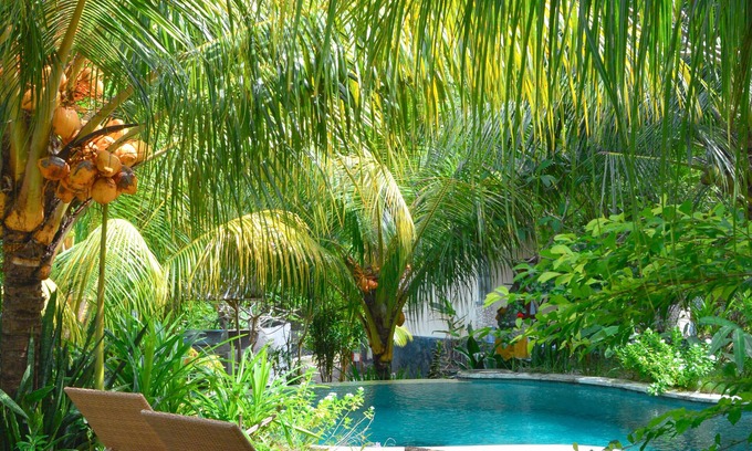 Penida Island Hotel | Tarzan Marriott On Penida