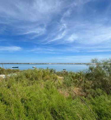 Quinta da Ria House | The Beach House
