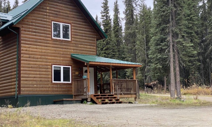 Fairbanks Apartment | The Cabin in the Woods 4 森林小屋 4
