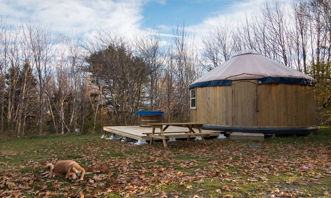 Indian Brook Resort | The Cedar Yurt at Cabot Shores Wilderness Resort