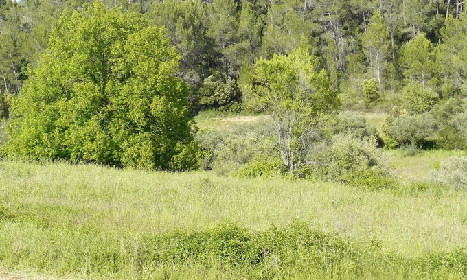 Barjols Cottage | The Ecological Mazet of the Garden of Wonder