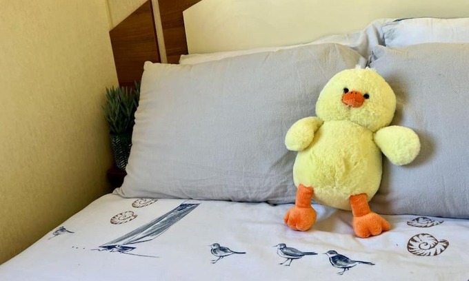 Clacton-on-Sea House | The Hendry at Saint Osyth Beach