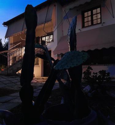 Nikopolis Apartment | The land of the olive tree