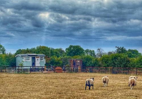 Lydney Apartment | The Meadows Hut