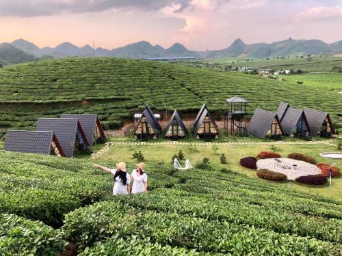 Moc Chau Hotel | Thung Lũng Ba Đồi Chè