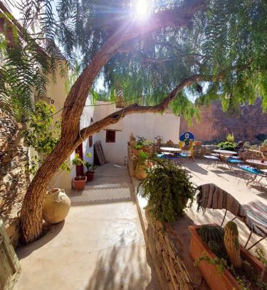 Amtdi Bed & Breakfast | Tigmi Bulbul