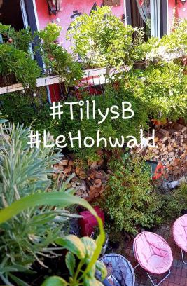 Le Hohwald House | Tilly's B&B and apartment house