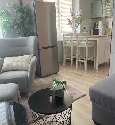 Pyskowice Apartment | Tiny Studio Pyskowice with parking