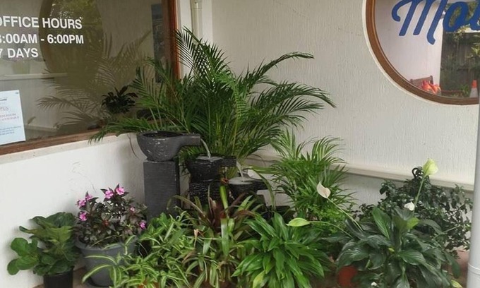 Maroochydore Hotel | Top Spot Motel