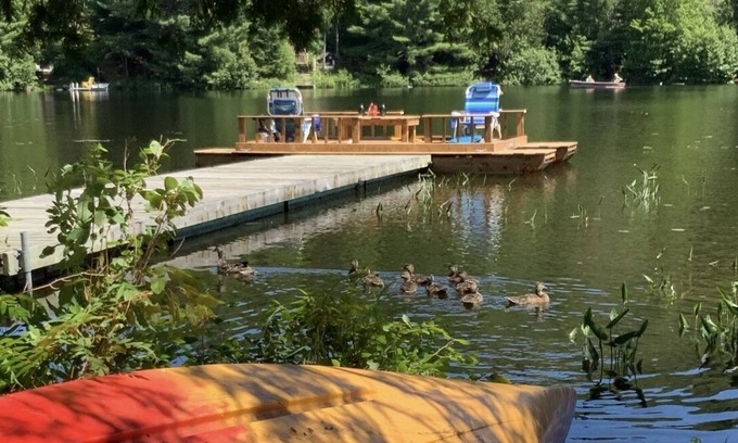 La Conception Cabin | Tranquil Lakefront-2 bedroom retreat for work/play
