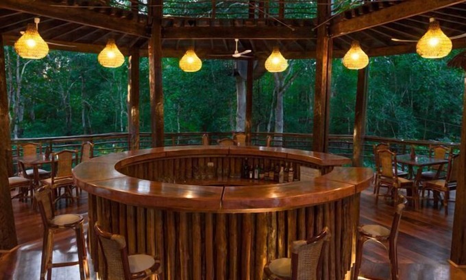 Saquena Cabin | Treehouse Lodge