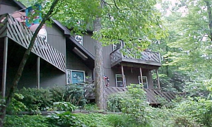 Hendersonville House | Treetops is a true mountain get-a-way - it's paradise!