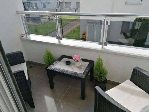 Banja Koviljaca Apartment | Tri srca