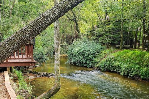 Mineral Bluff House | Trout House