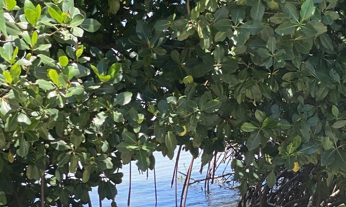 Cabo Rojo Condo | Two one bedroom apartments that are connected thru a door that can be locked,
