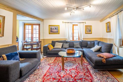 Dambach-la-Ville House | Typical Alsace house - ideal for groups and families