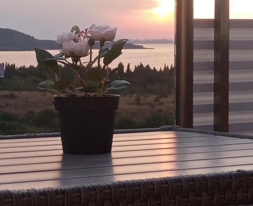 Chernomorets House | Vila Mihnevi
