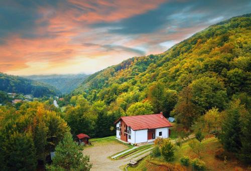 Slanic-Moldova House | Vila Poiana Verde