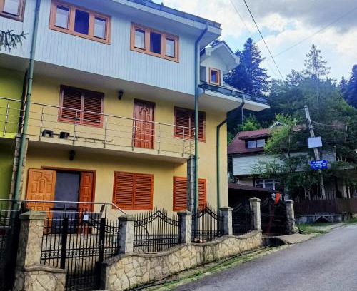 Slanic-Moldova House | Vila Robert