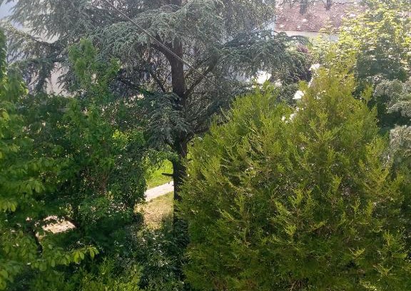 Contrexeville Apartment | Villa Arc en Ciel et clé des champs