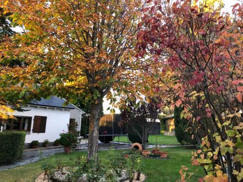 Ortigosa del Monte House | Villa Aurelia - Casa de campo con jardín y piscina entre Madrid y Segovia