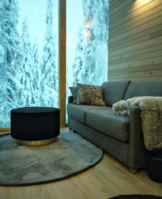 Syote Ski Chalet | Villa Auroras Karhu
