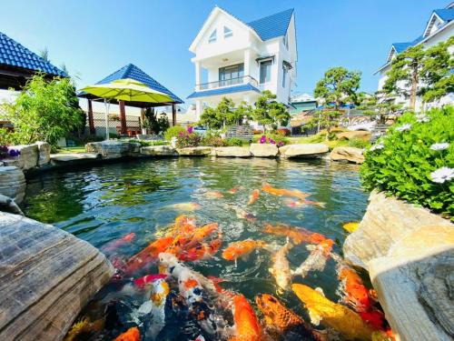 Da Lat Hotel | Villa &Coffee Garden